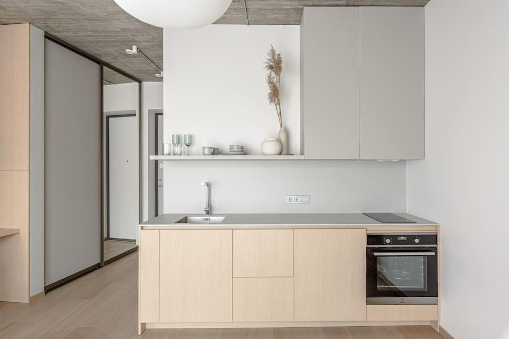 Cozy Japanese Oasis With Balcony, Gramophone, Netflix Apartment Вилнюс Екстериор снимка